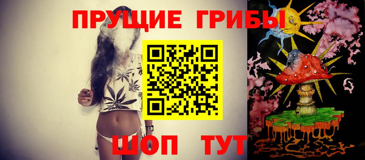 Галлюциногенные грибы мицелий  Псилоцибиновые грибы мицелий  Вход с VPN  Богородицк 